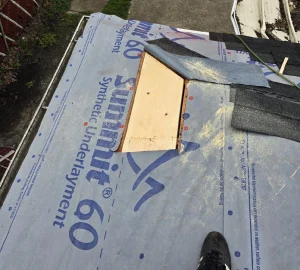 Roof Leak